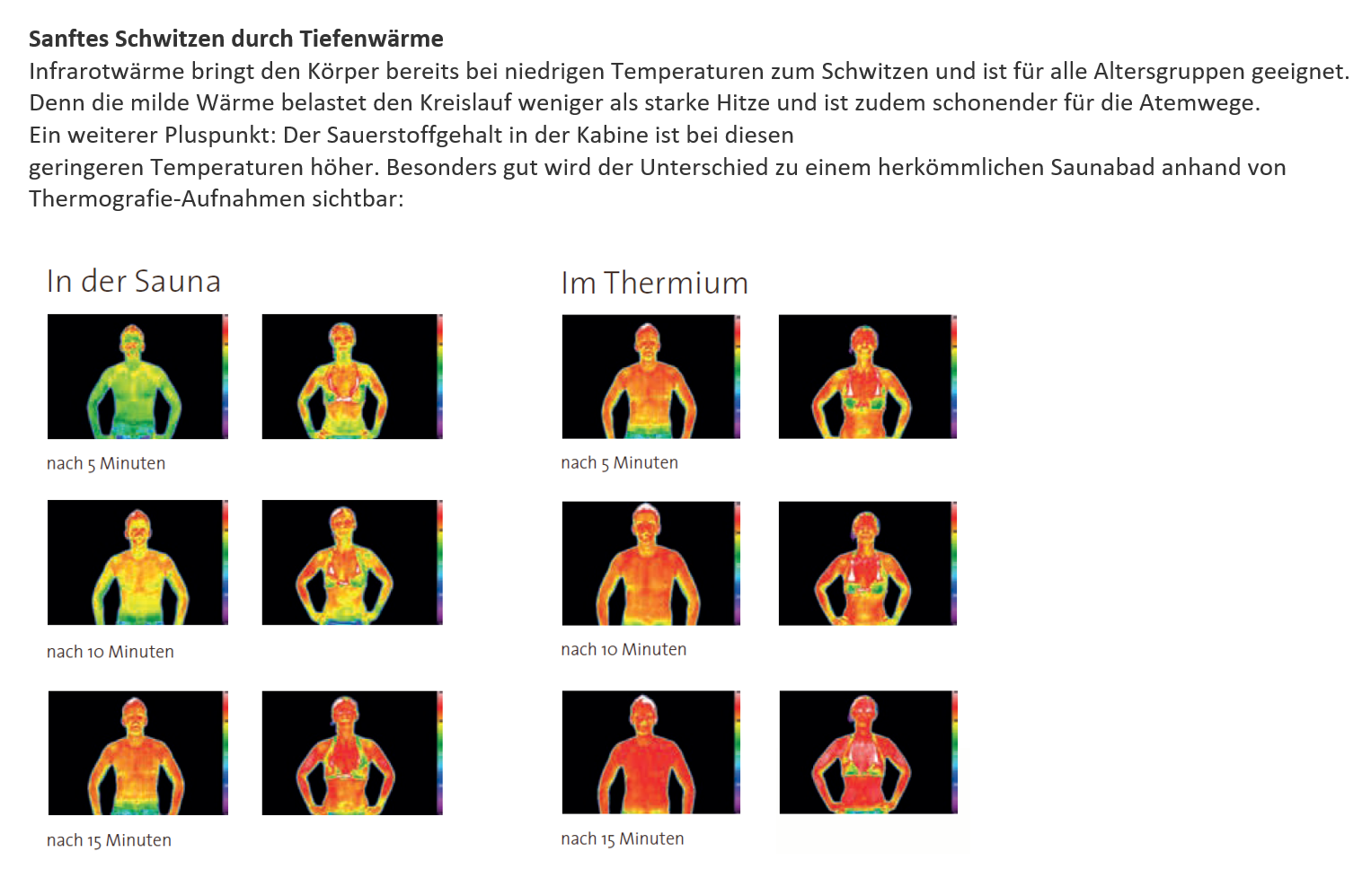 Infrarottiefenwärme Vergleich zu Sauna RUKU Manufaktur Ofizelle Vertretung Schweiz RR Variationen GmbH RRV